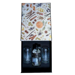 Gift Box - Stein Vodka